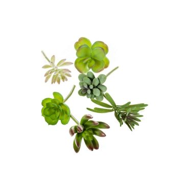 Succulentes artificielles JADON, à piquer, 6 pièces, vert, 13cm, Ø5cm