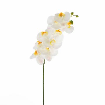 Fausse orchidée Phalaenopsis OPHELIA, blanc, 100cm
