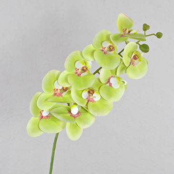 Fausse orchidée Phalaenopsis OPHELIA, vert-rose, 100cm