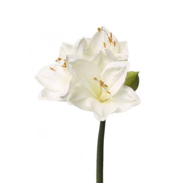Amaryllis artificiel BENITA, blanc, 55cm, Ø10cm