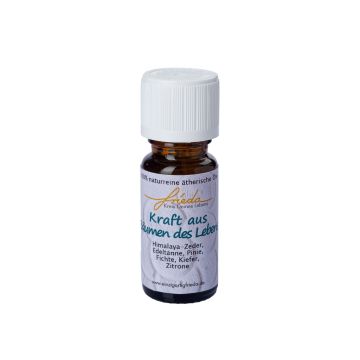 Huile essentielle pure ROMERO, Force des arbres de vie, 10ml, 7cm, Ø2,3cm