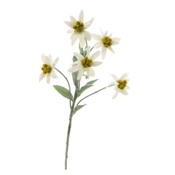 Fleur artificielle edelweiss SOPHIA, blanc, 40cm, Ø5-6cm