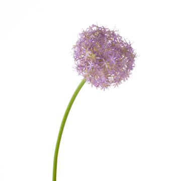Allium artificiel SAMARA, violet, 75cm, Ø12cm