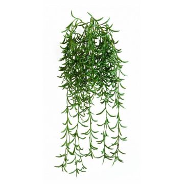 Cactus artificiel Rhipsalis KLEMENIS à planter, vert, 45cm