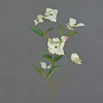 Branche décorative Cornouiller du Japon KOHANA, en fleurs, crème, 70cm