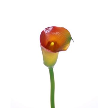 Fleur artificielle Calla CHIDORA, orange-jaune, 55cm, 5x6cm
