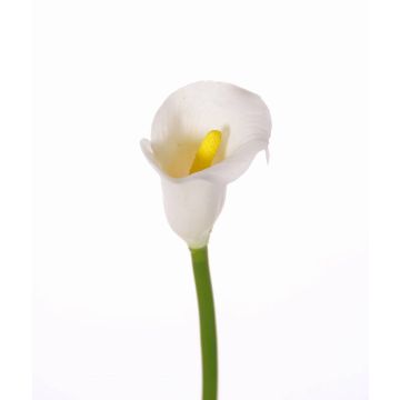 Fleur artificielle Calla CHIDORA, blanc, 55cm, 5x6cm