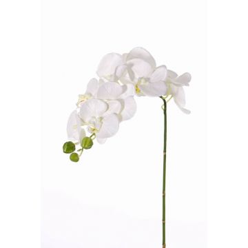 Branche artificielle d'orchidée Phalaenopsis GALINA, crème, 45cm
