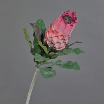 Fleur textile Protée NELLI, rose, 75cm, Ø8cm