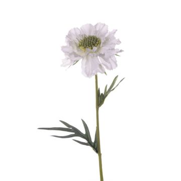 Fleur artificielle Scabiosa SIVIA, blanc, 35cm, Ø10cm