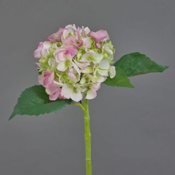 Hortensia artificiel NICKY, rose-vert, 50cm, Ø15cm