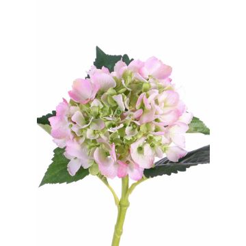 Hortensia artificiel NICKY, rose-vert, 50cm, Ø15cm