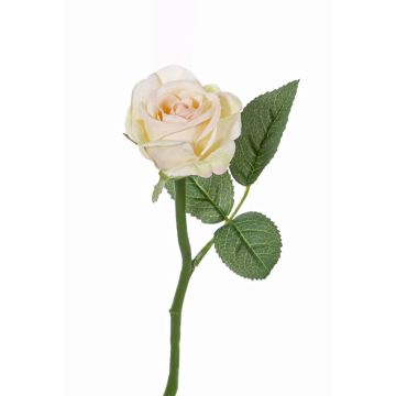 Fleur artificielle Rose GABI, crème-rose, 25cm, Ø5cm
