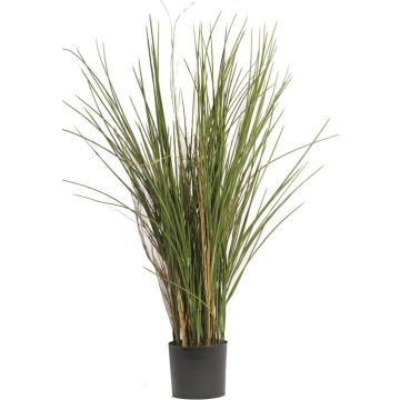 Roseau artificiel DELSIN, crossdoor, vert-brun, 80cm