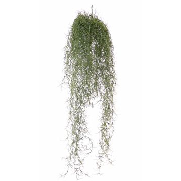 Chute artificielle Tillandsia Usneoides LITA, à piquer, crossdoor, vert, 75cm