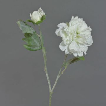 Pivoine artificielle MALINE, neige, crème, 60cm, Ø12cm