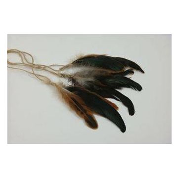Deco plumes indiennes HUBERTA, 3 pièces, marron, 15-20cm
