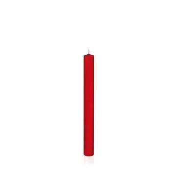 Bougie chandelle / bougie flambeau TARALEA, rouge, 25cm, Ø2,3cm, 14h - Made in Germany