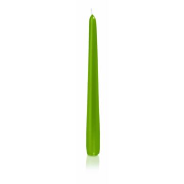 Bougie de table / bougie de ménage PALINA, vert, 25cm, Ø2,5cm, 8h - Made in Germany