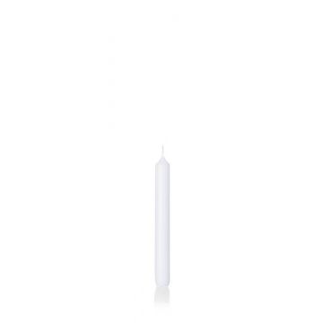 Bougie chandelle / bougie de table CHARLOTTE, blanc, 18,5cm, Ø2,1cm, 6,5h - Made in Germany
