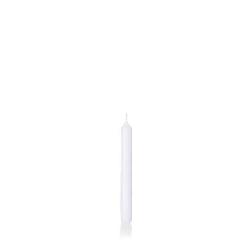 Bougie chandelle CHARLOTTE, blanc, 18,5cm, Ø2,1cm, 6,5h - Made in Germany