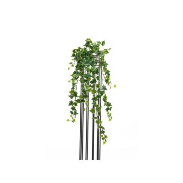 Suspension décorative de lierre CASPAR à planter, vert-blanc, 100cm