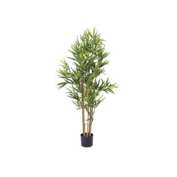 Bambou décoratif ELISSO, tiges véritables, 120cm