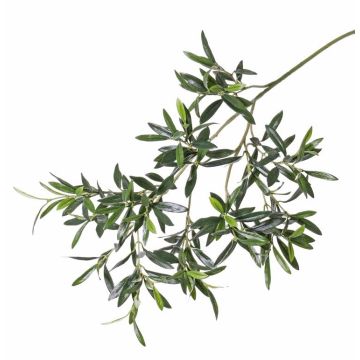 Branche décorative d'olivier ZELDA, 90cm
