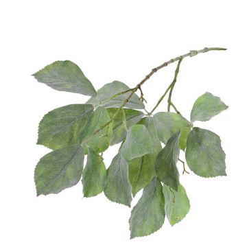 Branche décorative d'ampelopsis DEVIN, vert, 80cm