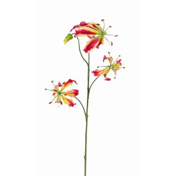 Fausse fleur Gloriosa TIANA, fuchsia-vert, 80cm, Ø8-15cm