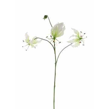 Fausse fleur Gloriosa TIANA, blanc-vert, 80cm, Ø8-15cm