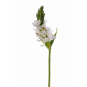 Fleur décorative LIORA, blanc, 50cm, Ø6cm