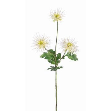 Chrysanthème décoratif SOLVIE, crème, 70cm, Ø10cm