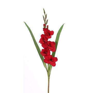 Glaïeul décoratif ELEA, rouge, 85cm, Ø3-10cm
