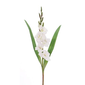 Glaïeul décoratif ELEA, blanc, 85cm, Ø3-10cm