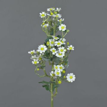 Fleur de camomille artificielle FEMKE, blanc, 60cm, Ø1,5-2cm