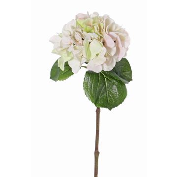 Hortensia en plastique CHIDORI, crème-rose, 60cm, Ø20cm