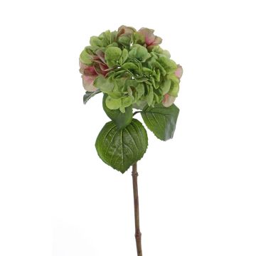 Hortensia en plastique CHIDORI, vert-rose, 60cm, Ø20cm