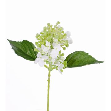 Fausse fleur Hortensia CHABY, blanc-vert, 30cm, Ø9cm