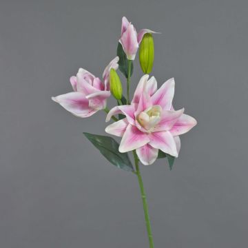 Fleur artificielle Lys ISALIE, rose-blanc, 80cm, Ø15cm
