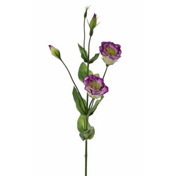 Fleur artificielle Lisianthus JUDIKA, violet-vert, 70cm, Ø5cm