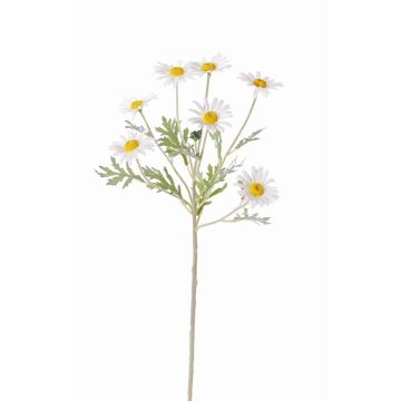 Marguerite décorative LEONIA, blanc, 60cm, Ø5cm