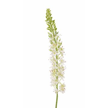 Fleur artificielle Lis des steppes  SELINA, blanc, 105cm, Ø9cm