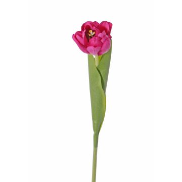 Fausse tulipe  ROMANA, fuchsia, 45cm, Ø6cm