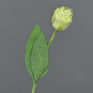 Fausse tulipe ROMANA, vert-blanc, 45cm, Ø6cm