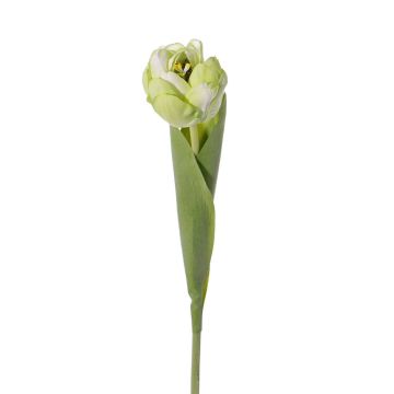 Fausse tulipe  ROMANA, vert-blanc, 45cm, Ø6cm