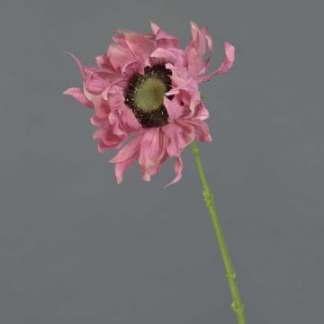Tournesol artificiel JANIKA, fuchsia, 60cm, Ø12cm