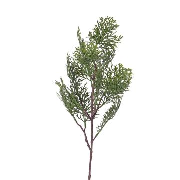 Branche de cyprès en plastique FROWIN, vert, 60cm