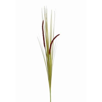 Herbe décorative JILL, piquet, panicules, vert-violet, 90cm