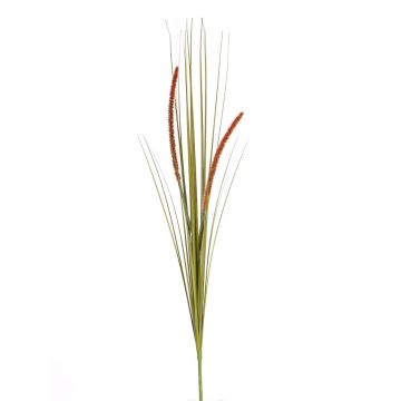 Herbe décorative JILL, piquet, panicules, vert-rouge, 90cm